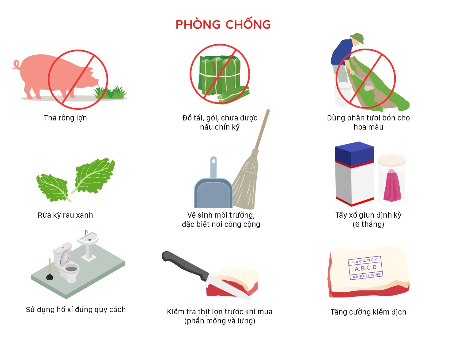 Bác sĩ tư vấn cách nhận biết và phòng bệnh sán lợn, ai cũng cần đọc